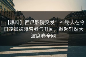【爆料】西瓜影院突发：神秘人在今日凌晨被曝曾参与丑闻，掀起轩然大波席卷全网