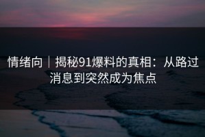 情绪向｜揭秘91爆料的真相：从路过消息到突然成为焦点