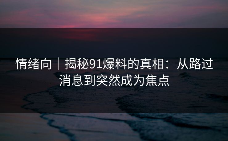 情绪向｜揭秘91爆料的真相：从路过消息到突然成为焦点