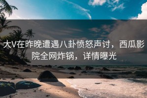 大V在昨晚遭遇八卦愤怒声讨，西瓜影院全网炸锅，详情曝光