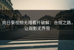 向日葵视频无限看片破解：合规之路，让观影无界限